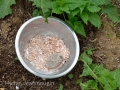 2014.04.26_compost-de-bouse-biodynamie5