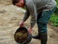 2014.04.26_compost-de-bouse-biodynamie6